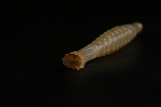 玉魚 戰(zhàn)國(guó)勾連紋玉魚
