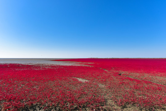 紅海灘