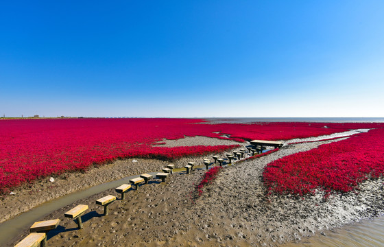 紅海灘風(fēng)光