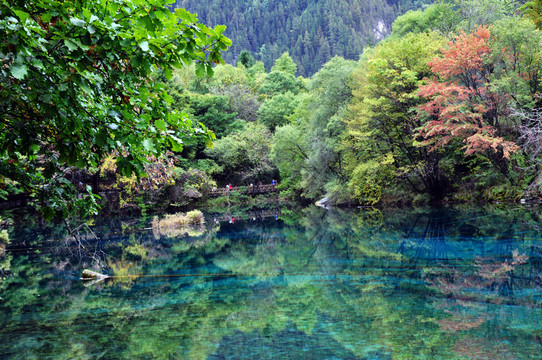 九寨溝