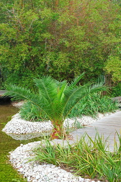 熱帶公園