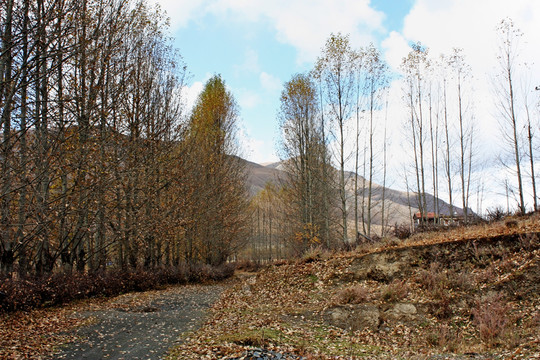山間小路