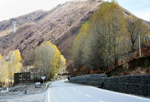 山區(qū)公路