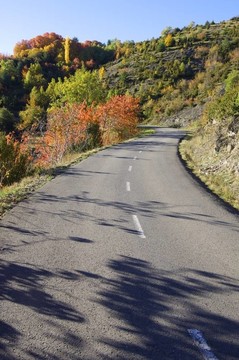 路