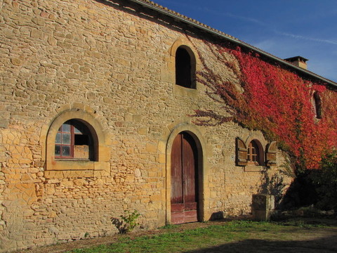 Barn；農(nóng)場(chǎng)；Saint Leon