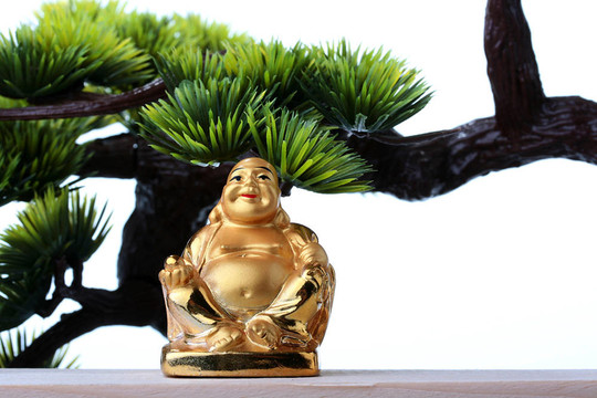 神財(cái)富