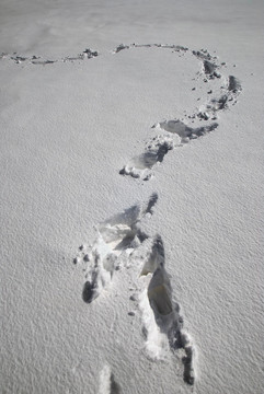 深雪中的痕跡
