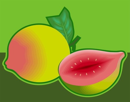 番石榴