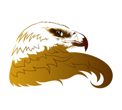 鷹