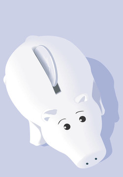 豬