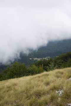 山