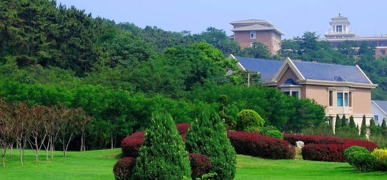 前院。夏天。