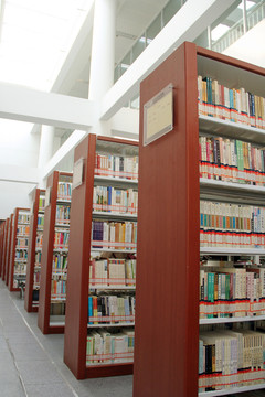 圖書館藏書