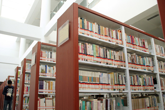 圖書館藏書