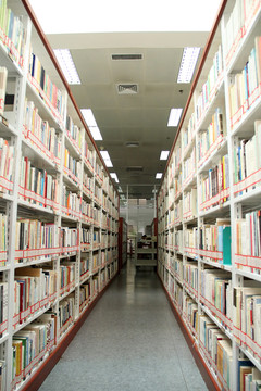圖書館藏書