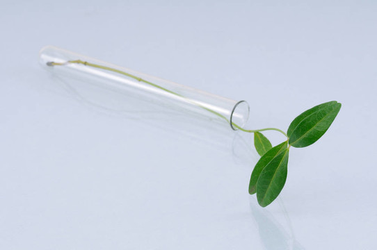 生物技術的概念
