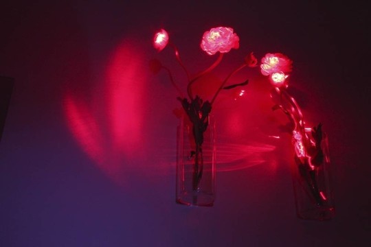 電花