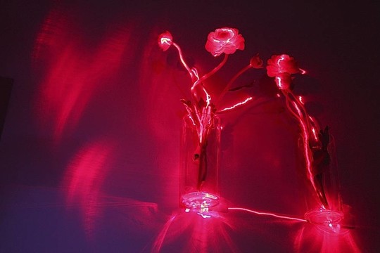 電花
