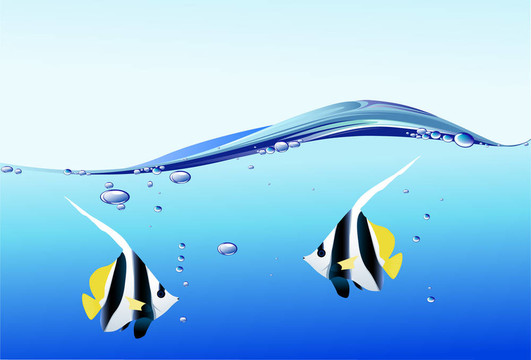 魚(yú)