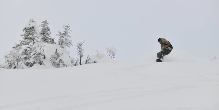 自由式滑雪