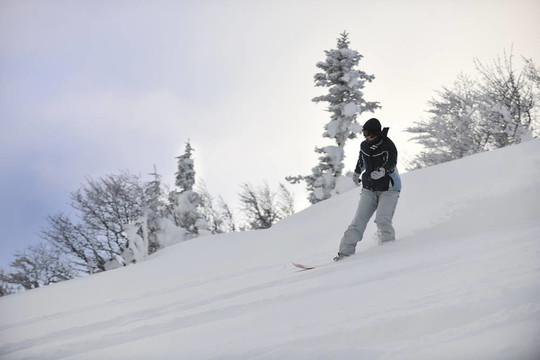 自由式滑雪