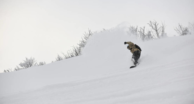 自由式滑雪
