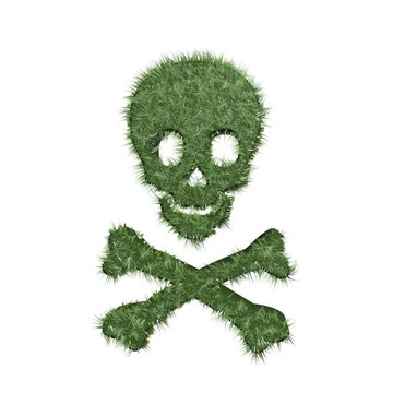 草骷髏和十字骨符號