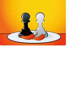 國(guó)際象棋的棋子