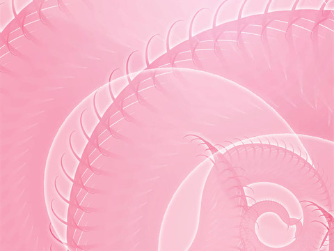旋轉(zhuǎn)的螺旋葉片摘要