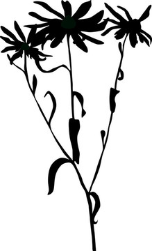 藝術(shù)illiustrator