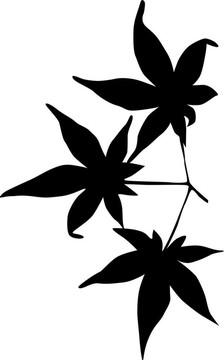 藝術(shù)illiustrator