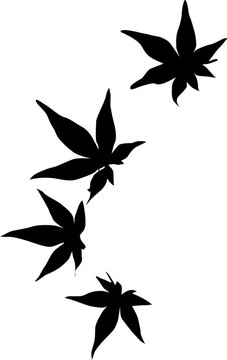 藝術(shù)illiustrator