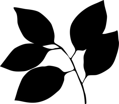 藝術(shù)illiustrator