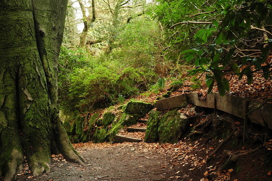 公園路