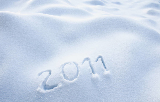 年2011