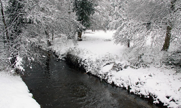 冬、河、雪、林景觀