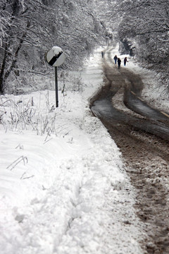 一家人沿著冬季積雪的道路徒步旅行