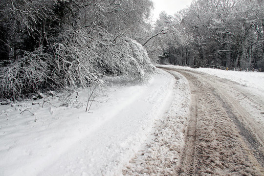 冬天的雪和一條穿過樹林的路