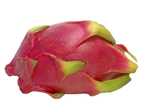 火龍果