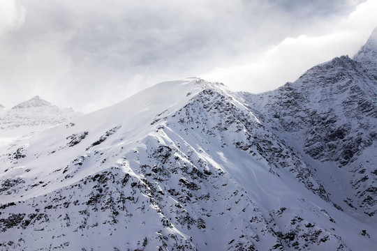 山雪