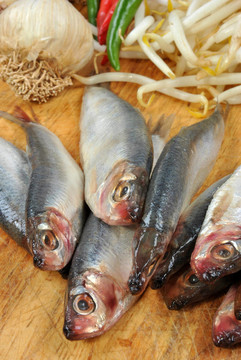 一些新鮮的有機(jī)魚和豆芽