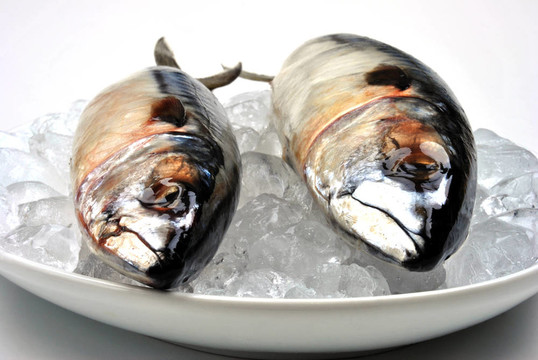 在一個冰白板兩鯖魚