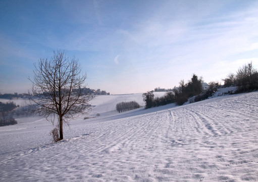 雪景