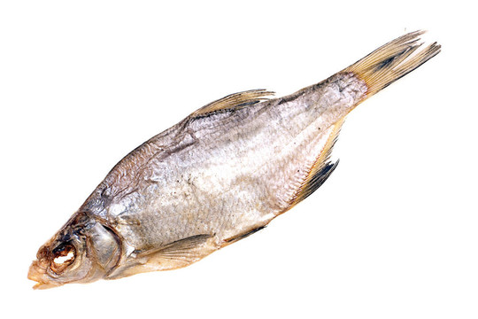白色背景上分離的干魚(yú)