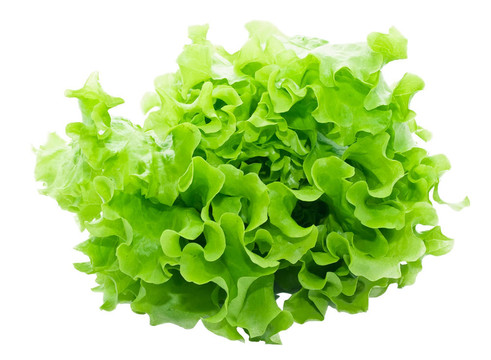 生菜