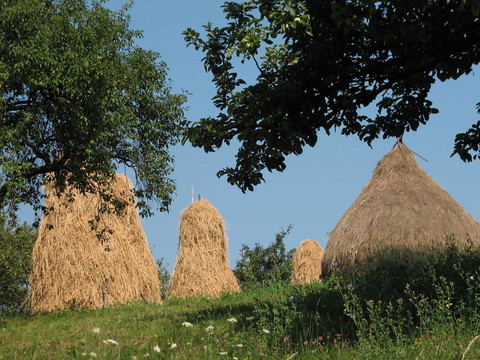 鄉(xiāng)村景觀；地；羅馬尼亞