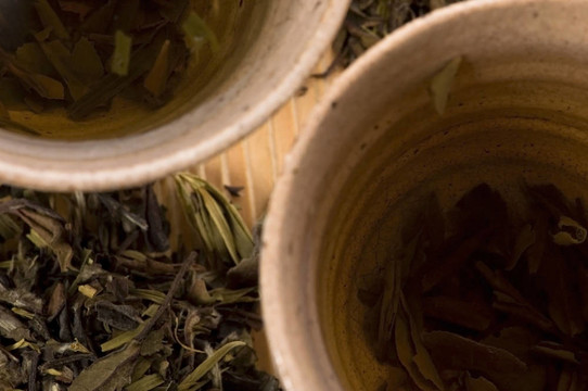 綠茶