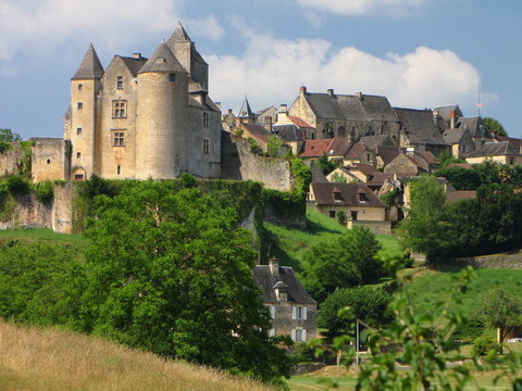 Salignac；城堡；村