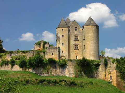 Salignac；Castle