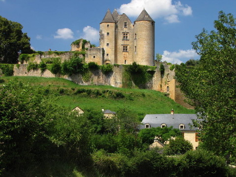 Salignac；Castle